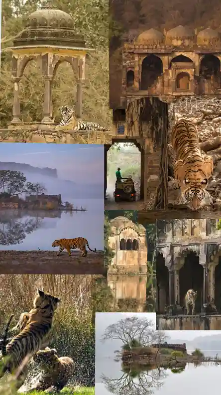CTC agra to ranthambore